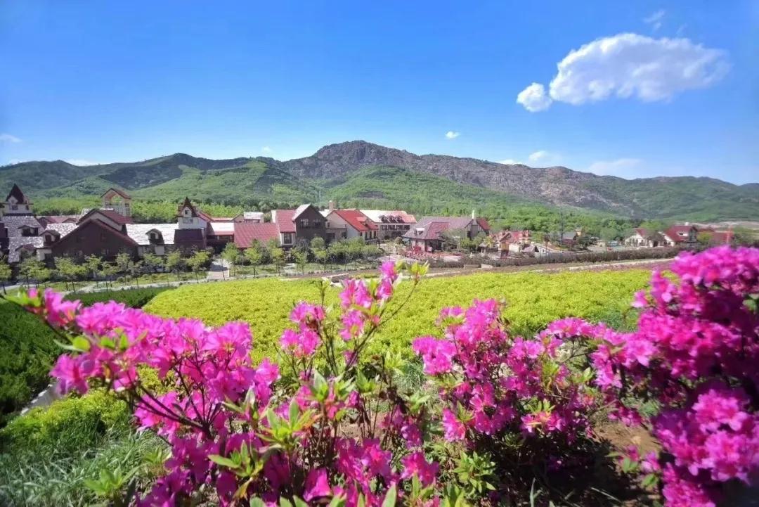 微信圖片_20210623084346.jpg 微信圖片_20210623084346.jpg